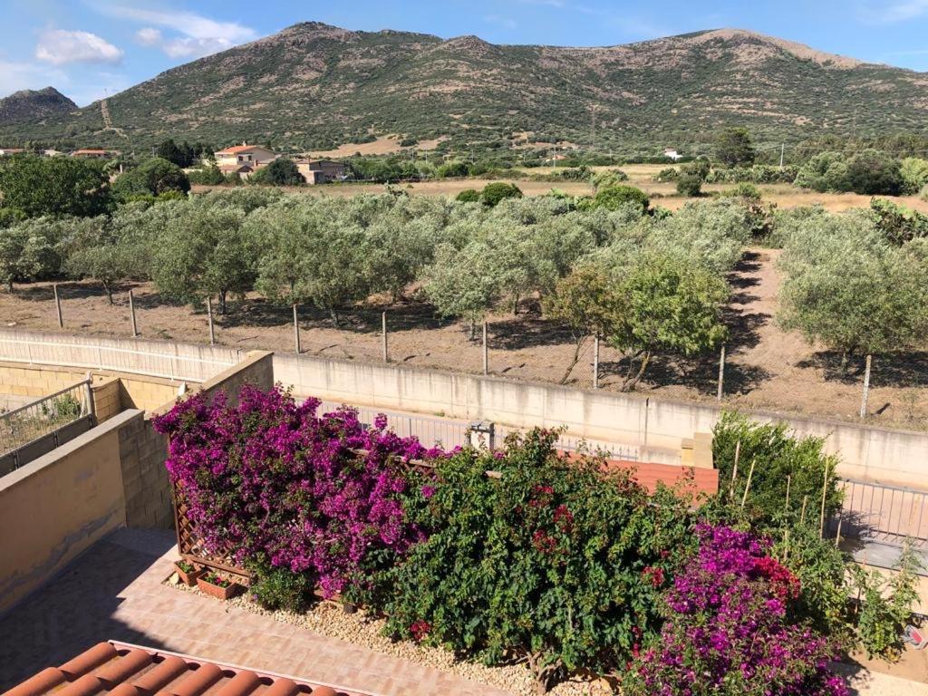 B&B Il Mirto Bianco San Giovanni Suergiu Bagian luar foto